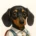 Mr. Tipli